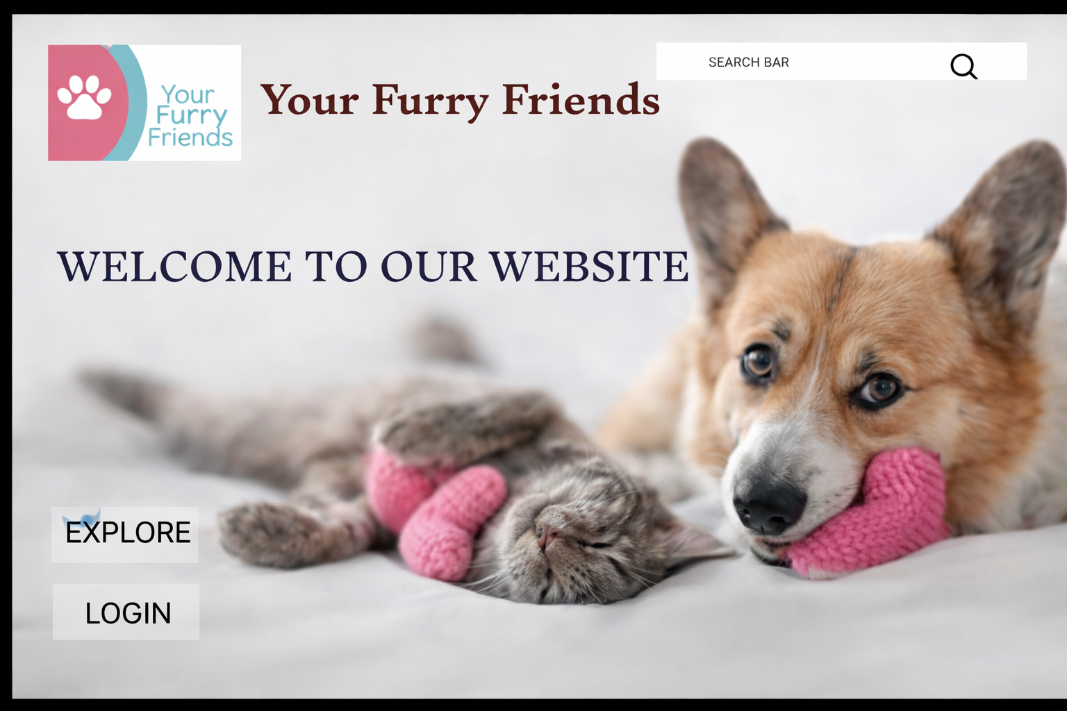 Pet Adoption Website
